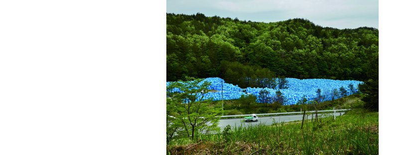 8cb3444d-80ce-479f-84c0-abaae1b2c91e