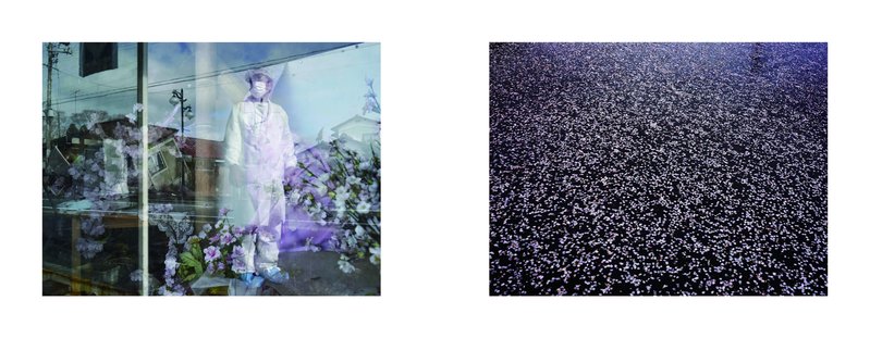 7a969dae-8623-43c2-a679-0ed6262726f3