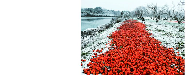 0a5ba814-9c53-4900-82c0-377c160b8514